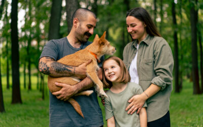 Przyjazny zwierzętom InPost – firma wspiera adopcje psów poprzez specjalne Paczkomaty