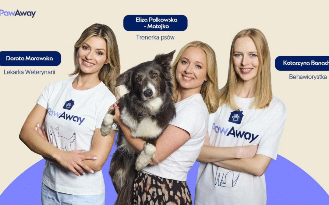 PawAway – pewna opieka dla psów w największych miastach Polski